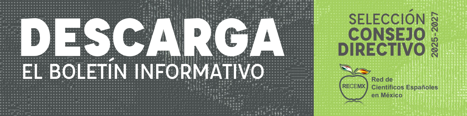 Botón de descarga del Boletín Informativo con el Proceso completo de Selección del Consejo Directivo de RECEMX